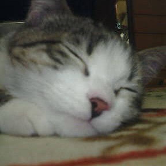 C3f42655 8525 4949 93f2 2fec1187b6d5 1762296897658