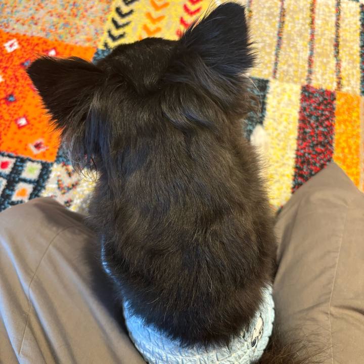 C3f43b91 1c8a 43e1 9765 c73de0f569f2 1726934462142