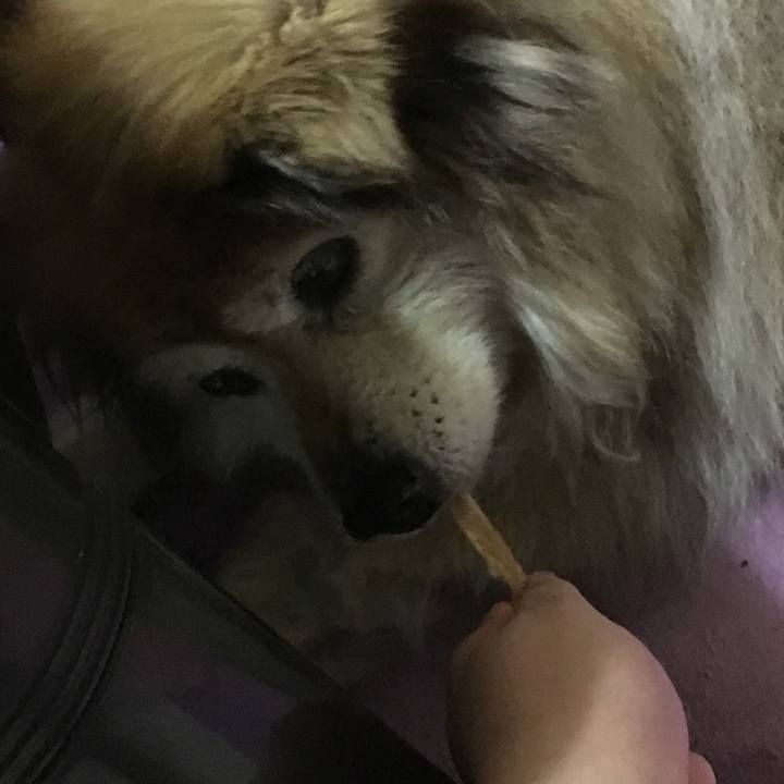 C3f43d98 3d8a 433a 9fba 8c38951ea6af 1567969581872