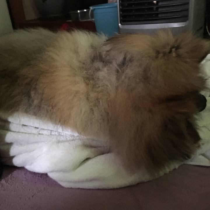 C3f45693 9c07 4d28 94e9 30005c458089 1586762087531