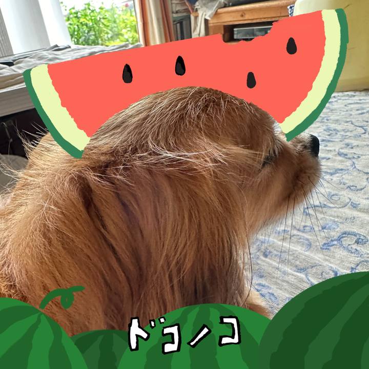 C3f4901b cdc3 4a0c 86cd 964dfbacd2b9 1720912175767