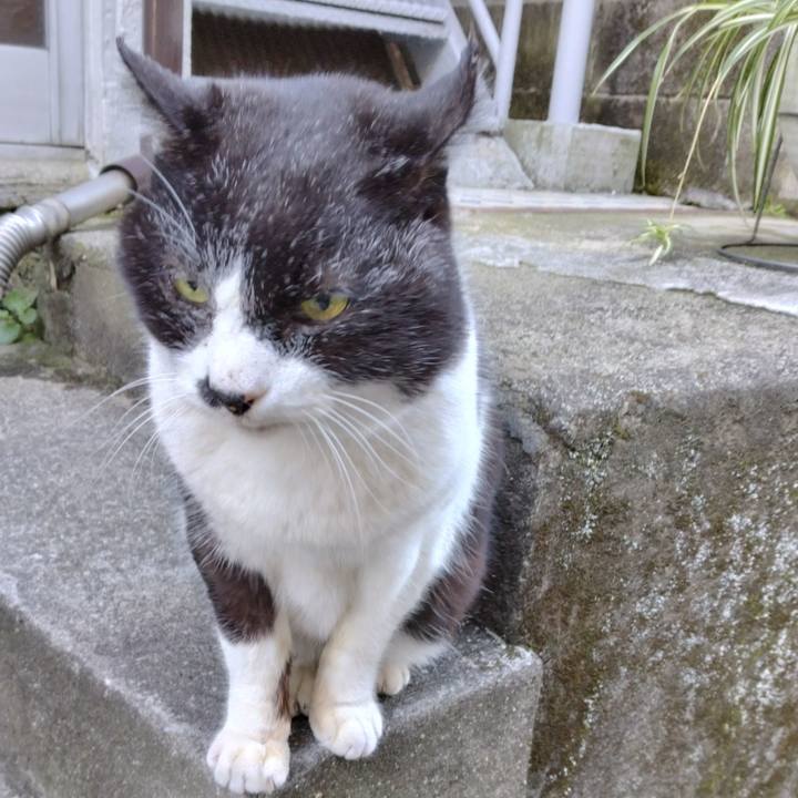 C3f508a2 1855 4412 a373 5a71ff46969c 1706140377712