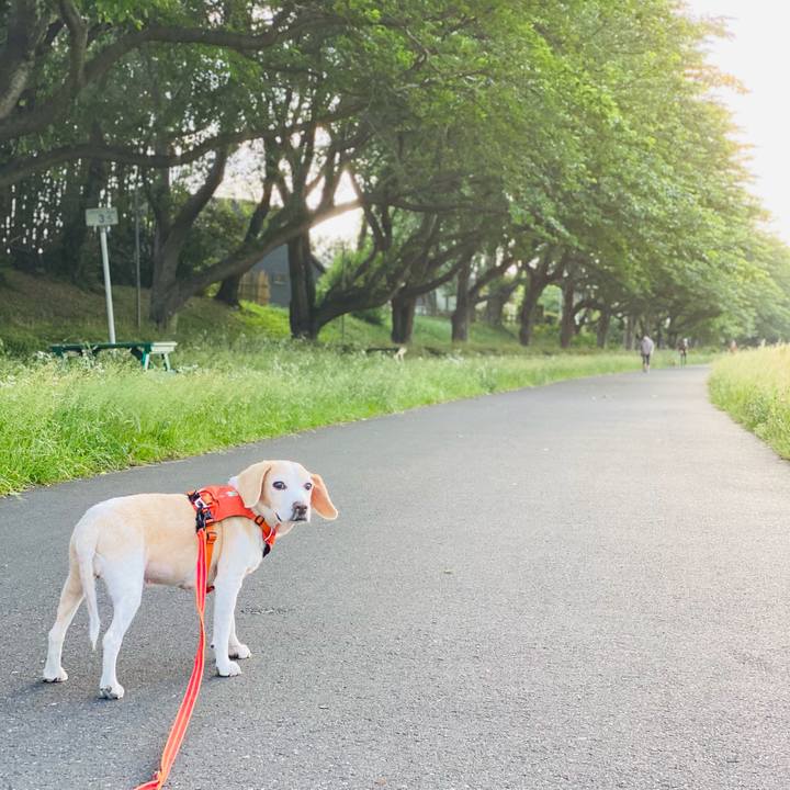 C3f517cc 9cbe 45ec aebb 29c1cbced17f 1621936930837