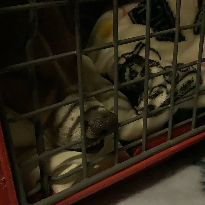 C3f534f3 776c 4057 ba6f 943f1c4f02ad 1613046283462