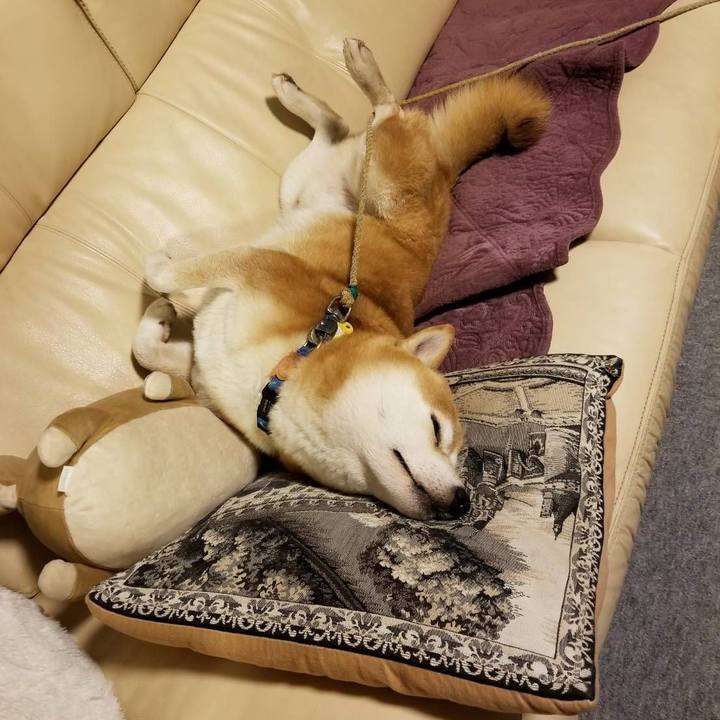 C3f5352b ace8 439f b1fc 7892c4b98ffe 1572167827992