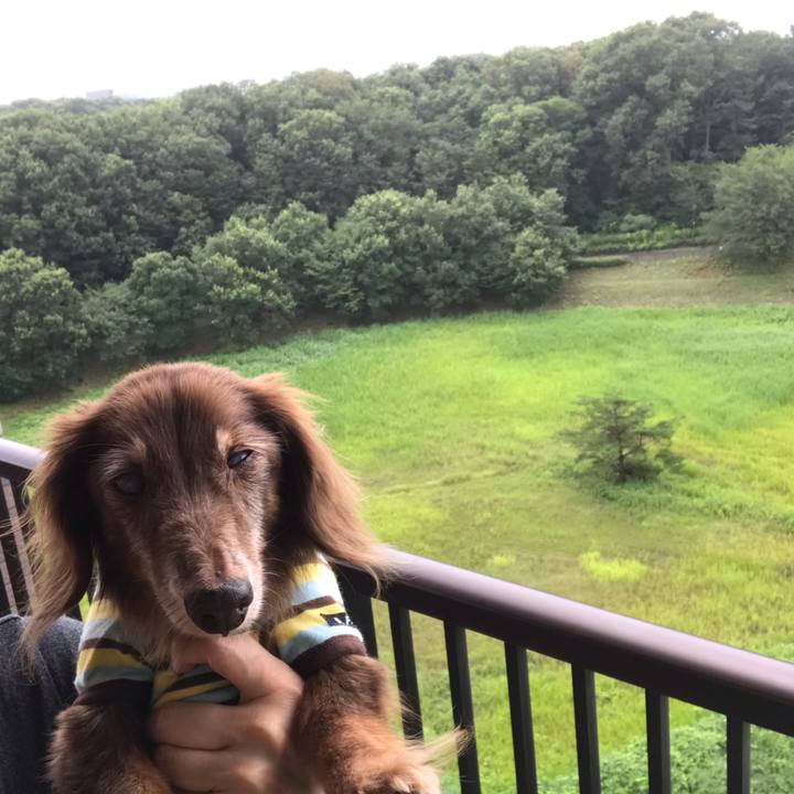 C3f55136 411b 4a9a bc86 ca58c180712c 1595902153367