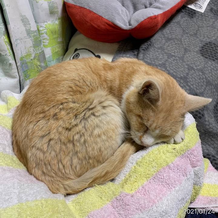 C3f569f4 bc14 45f5 8b35 6ece22d2ccf8 1611491038372