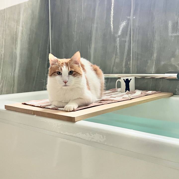 C3f589ca f352 4370 a0dd c09eff06aa92 1770339345120