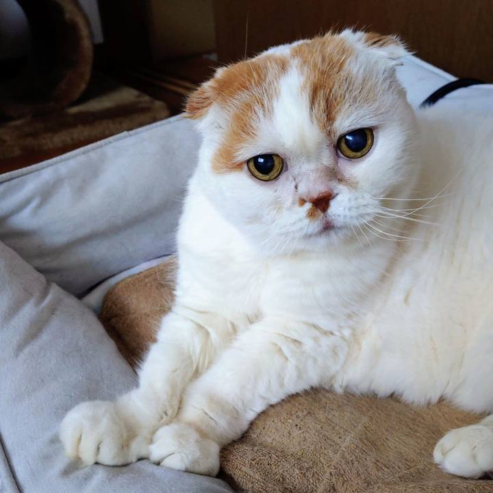 C3f5ad90 409f 4809 90a9 4f3825aa8833 1773367302355