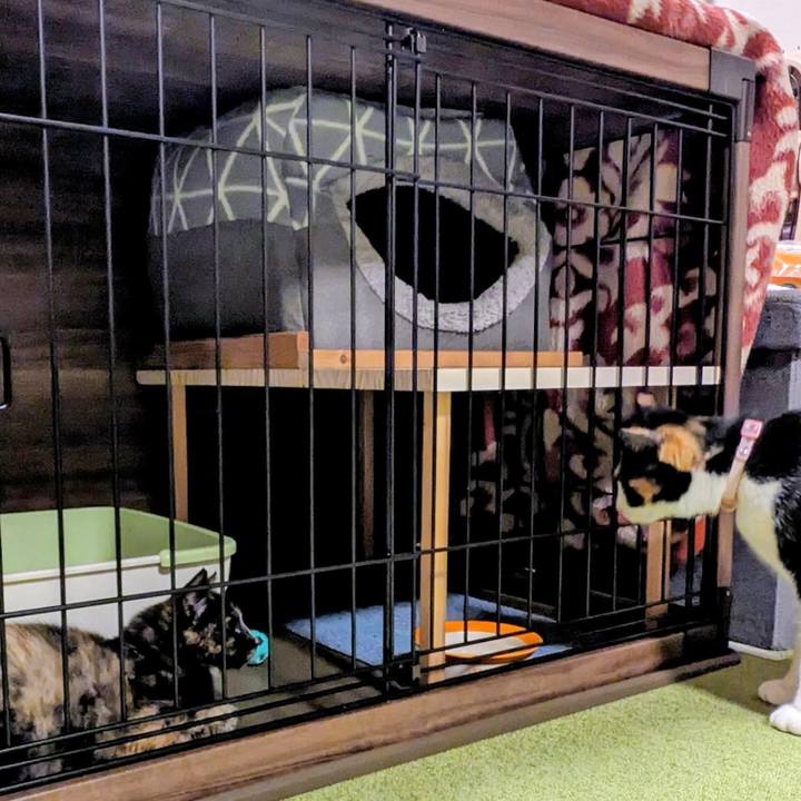 C3f5bb06 9eeb 497c b7ec f2c6ba6c6694 1762217744372