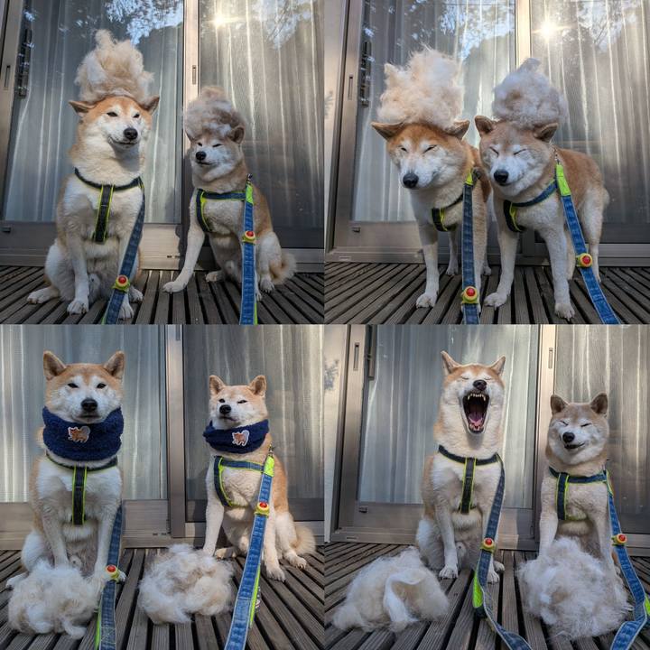 C3f5c428 4f98 4f74 8899 56057d6df71a 1765938249502