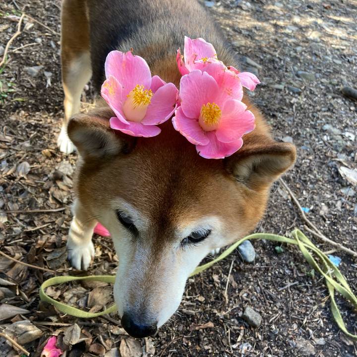 C3f5cbf3 9eb7 427a b44d 1ca931043b28 1676512889563