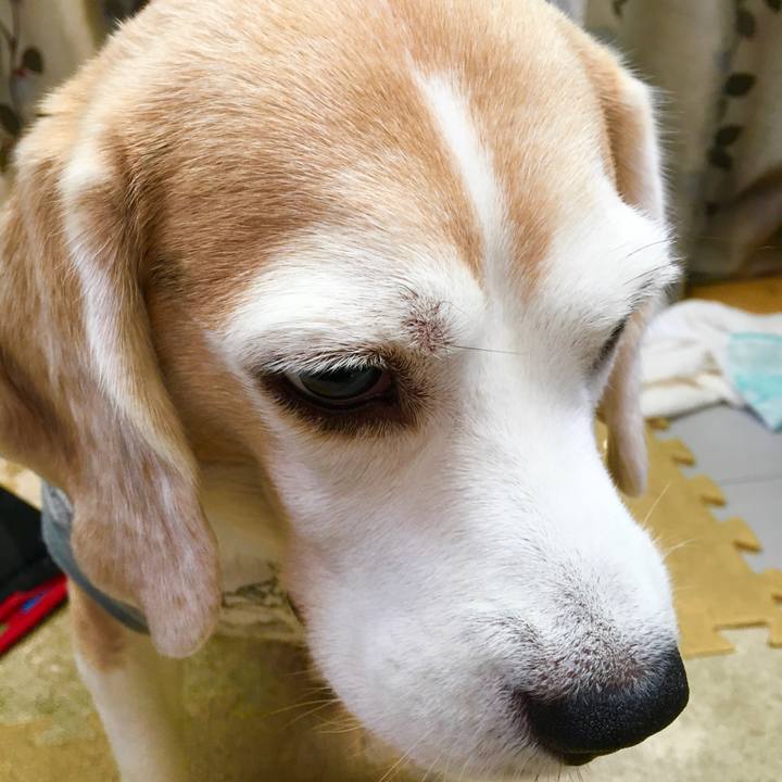 C3f5d297 0381 4e06 866d c061983fa83b 1572165948819