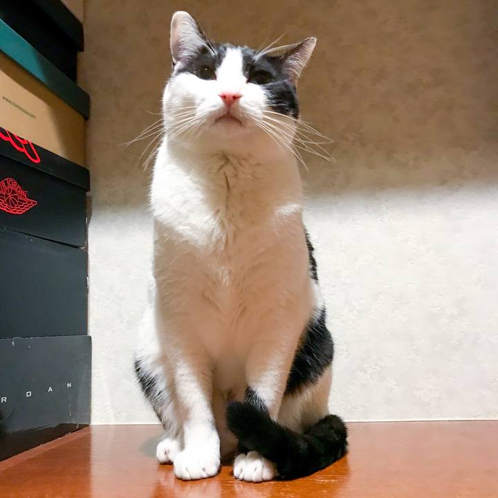 C3f5ec1d f1a9 435e b6fa 04d3bfa134fc 1522026856679