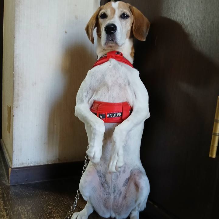 C3f633bb 8f7a 4ac9 9035 b0482d6627d5 1759320718787