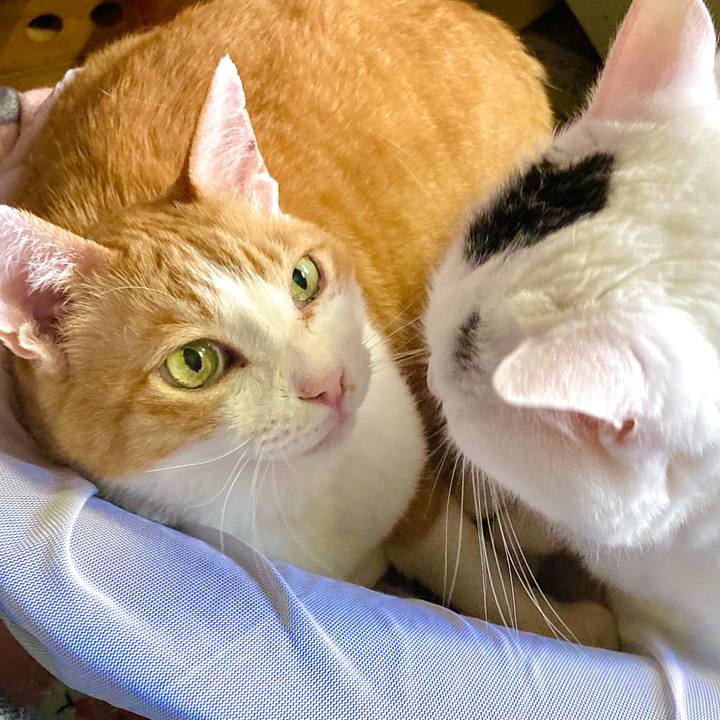 C3f649cc e261 412e 8e8f 52e76b82ee86 1664780791312