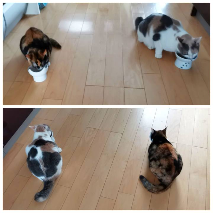 C3f664d8 4df9 4538 b34c e18906e0657b 1638332538452