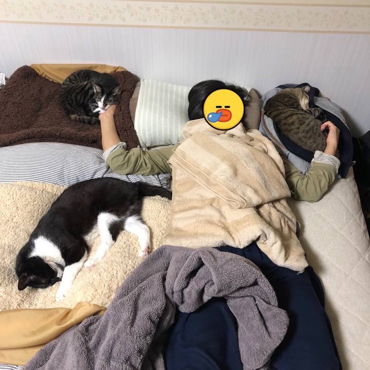 C3f67038 23a8 43de a84e 29a96320dbe2 1652502653293