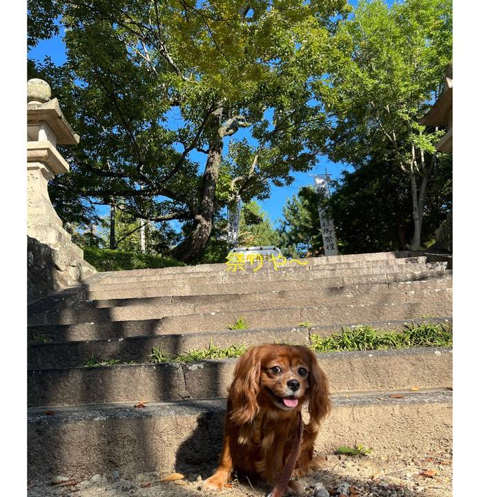 C3f6b3d5 b8cf 4ce5 9c72 48e656c415f9 1665925351318