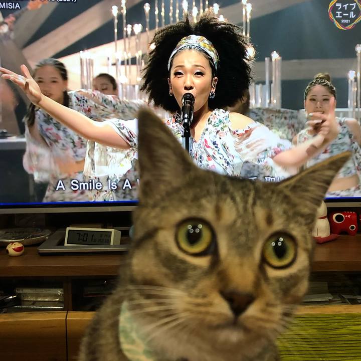 C3f6e440 3f31 4d9d 8949 40e11b120fb7 1628935988655