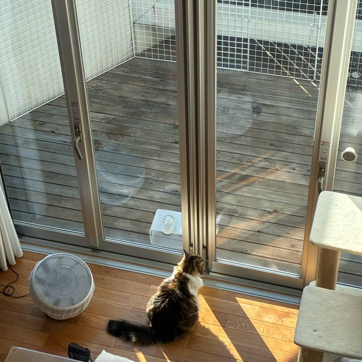 C3f7564e 29b6 40cd 9912 083dcc738f01 1772346410641