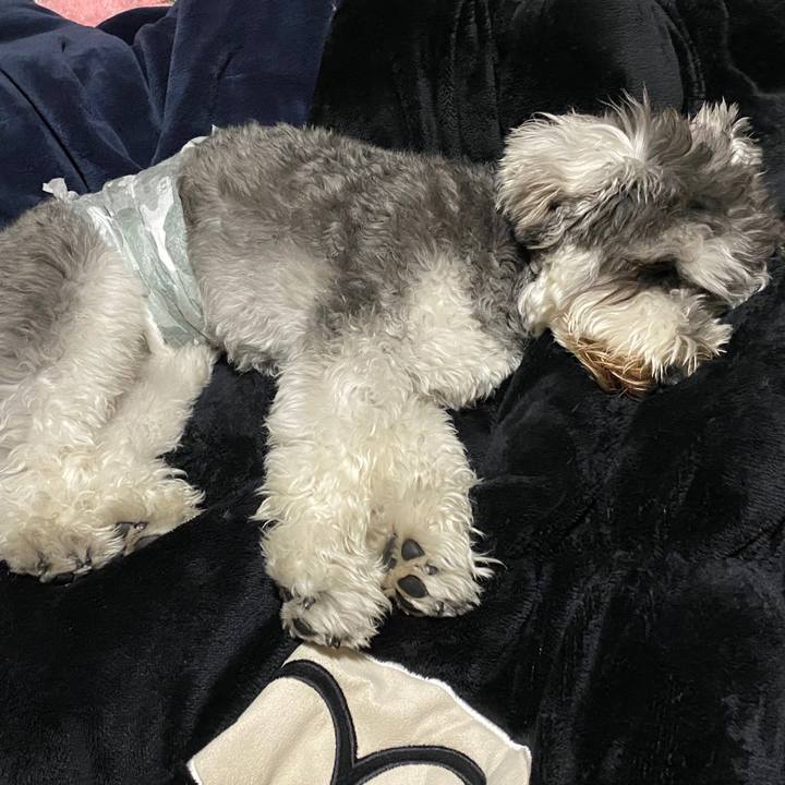 C3f75681 241b 4c47 bcac f9140a6f7779 1588782822543