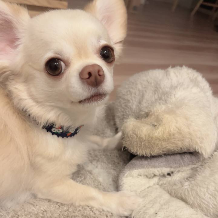 C3f7778b 32dd 45a7 b0f8 460a9476e118 1725107849975