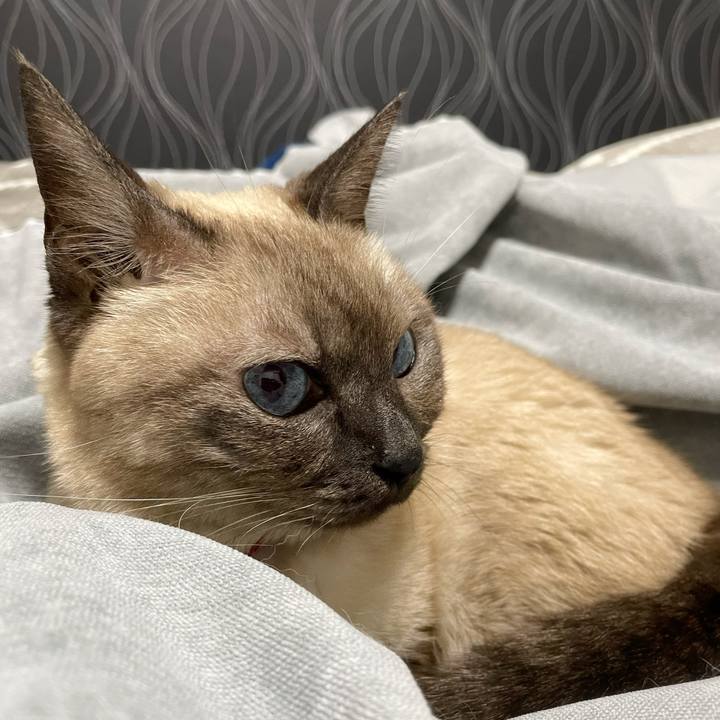 C3f7991b 0812 41e7 9bd3 41bd885452c1 1764502446593