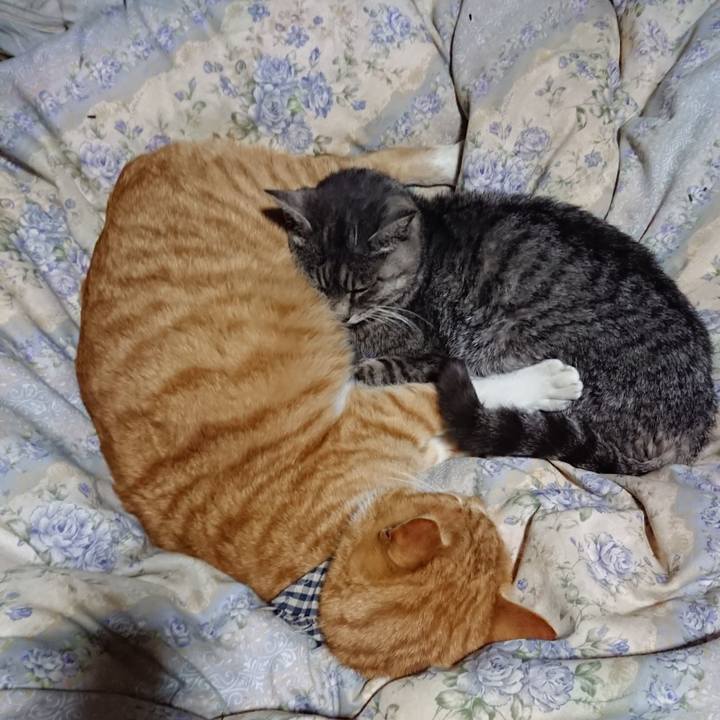 C3f7ac00 8c26 4e70 8ee6 2741a20b01a4 1576325312560