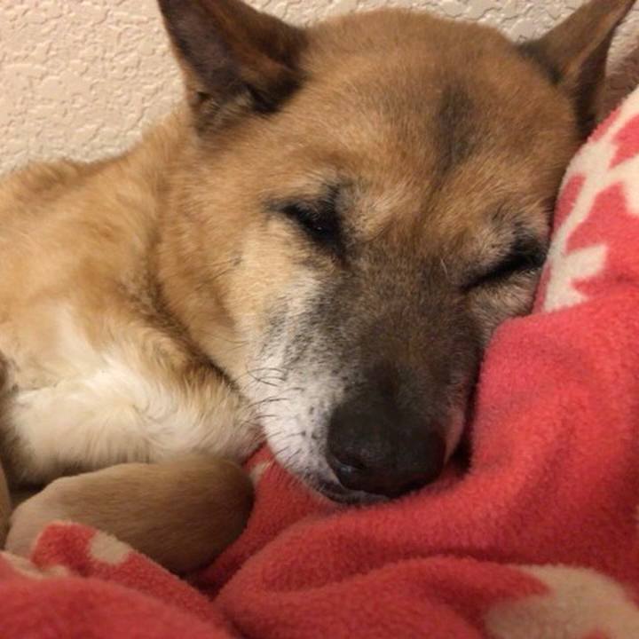 C3f7c611 4273 4cf2 a9c8 ada22fe8107d 1572010269102