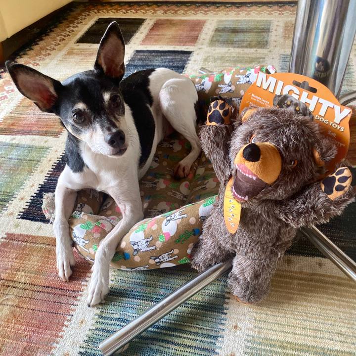 C3f7d215 e6da 43aa aa50 3de98200e58e 1593920421166