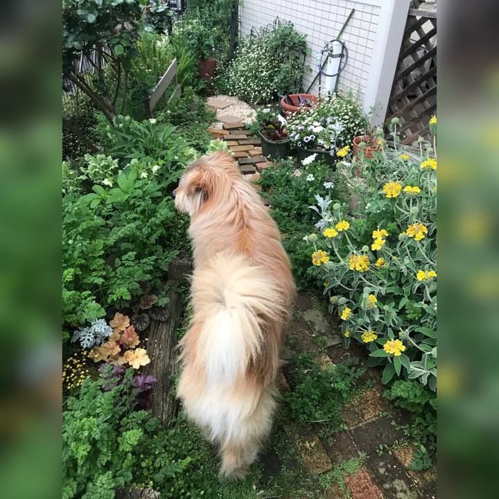 C3f7d54c 7657 4f79 b132 4b8e7d4ac78e 1651034641958