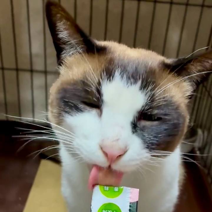 C3f7fbfe 889a 4d77 a24f f141f5416ba2 1749893214086