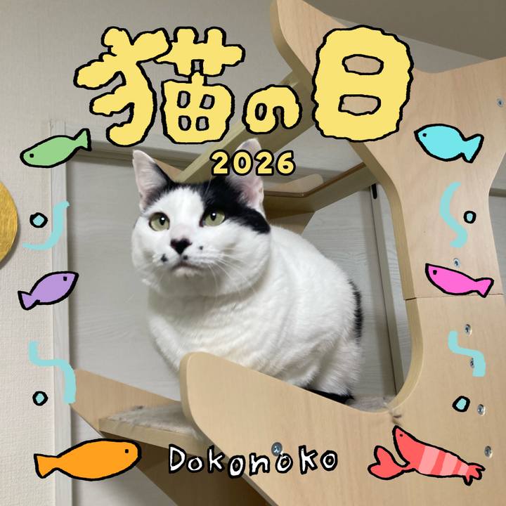 C3f7fd1a 9a9b 4f64 a6c9 872599204eff 1771706279393