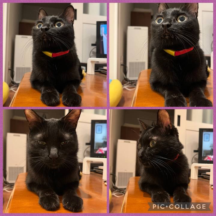 C3f8085d edcd 42b5 bfd0 99159e254787 1757676560640