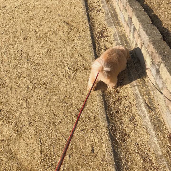 C3f88a21 79ff 4100 8153 7f9fb43c5d97 1513302691652