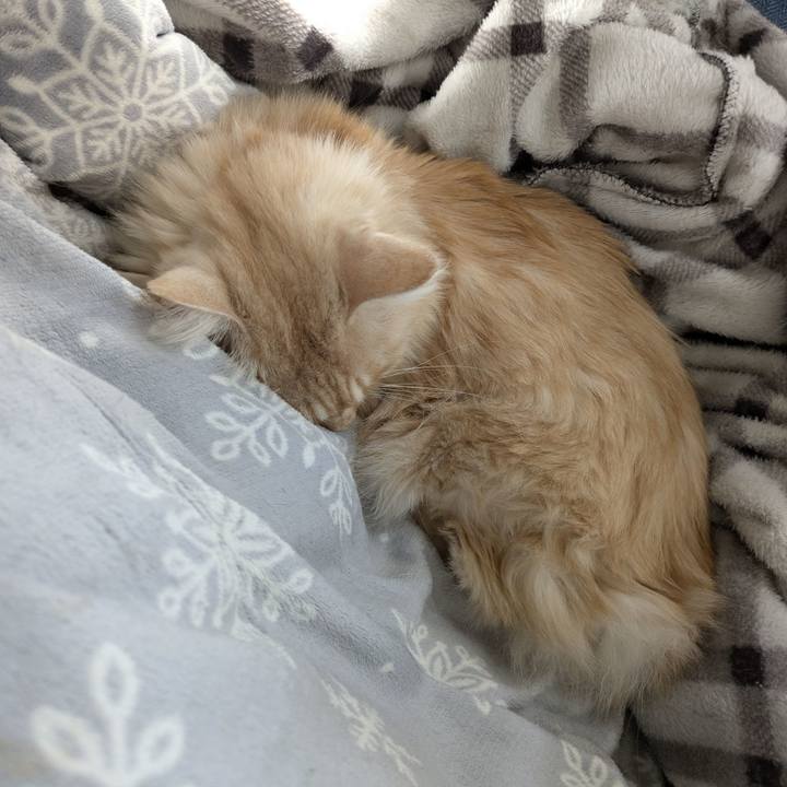 C3f8a5c9 d741 44c6 9b47 c1d6b3adaa04 1764988157135