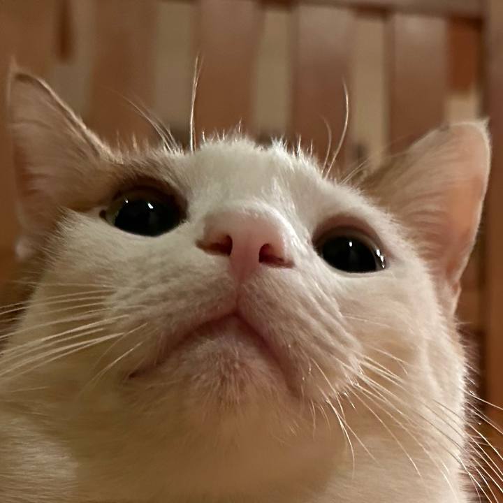 C3f8a6ce 6f06 4e29 91b3 a1056759dd5a 1674898196384