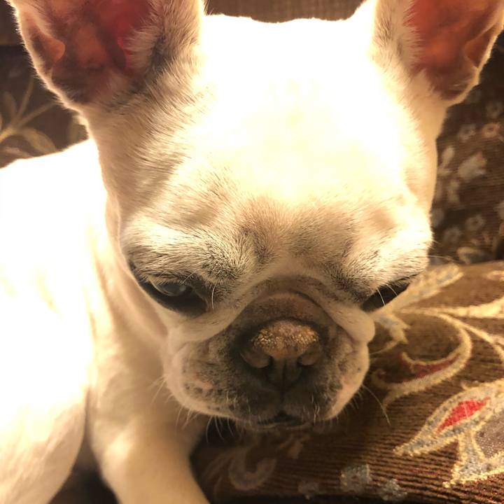 C3f8cdd8 53df 490a a612 5231b8067052 1586522628625