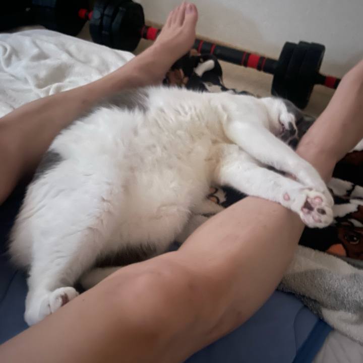 C3f8e03a 56b0 4ab7 86ef 6949c0241014 1752789106106