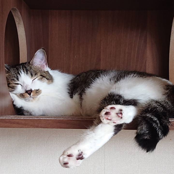 C3f8e86c 0e9c 4853 ac3c ff84cc1661d6 1563118226890