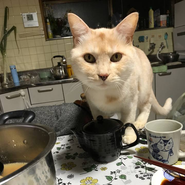 C3f8eb3b 289f 45f6 8dd1 babc45eed598 1581414180522