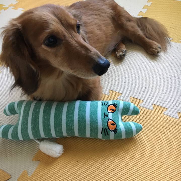 C3f91922 1573 40d8 a911 2089572cb65e 1531307399487