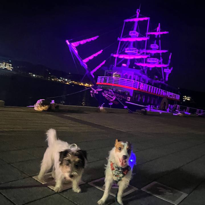 C3f92952 d02f 4f31 8970 825773c36758 1762126601949