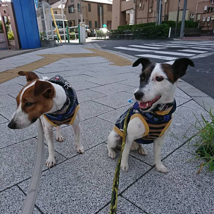 C3f92b2e 30ec 44d5 8f02 6318cc0fb0e5 1534550678295