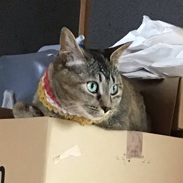 C3f94351 d042 4994 b9ec 7aaa9a22aa22 1623654079315