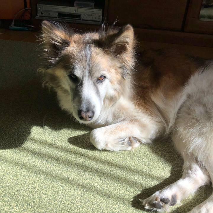 C3f9bde2 823b 488f 9073 9baf60b12c27 1516678787144