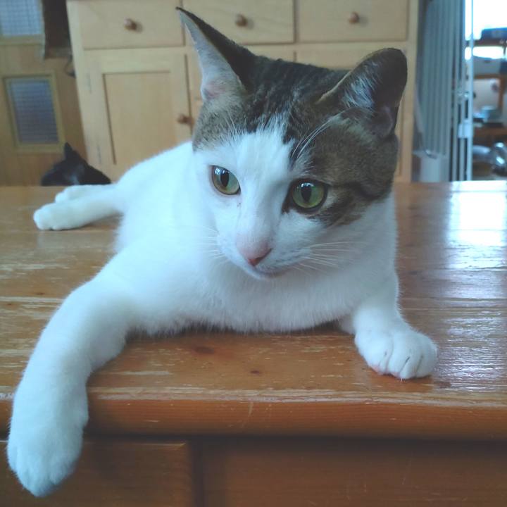 C3f9e953 b6ca 414a ac72 fb1203eac5a4 1690251954870