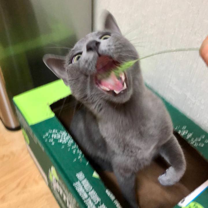 C3f9e9a1 7c46 49cd 888d 30351ce1f9a9 1635297358036