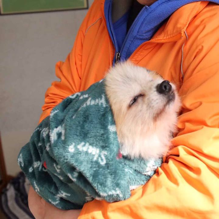 C3fa0cd1 6d0c 499a 8511 46a3cab0427c 1530144037791